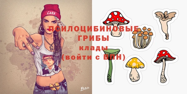 спайс Пролетарск
